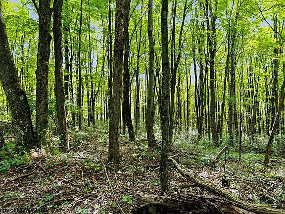 3rd image of 611 Mount Liberty Rd
