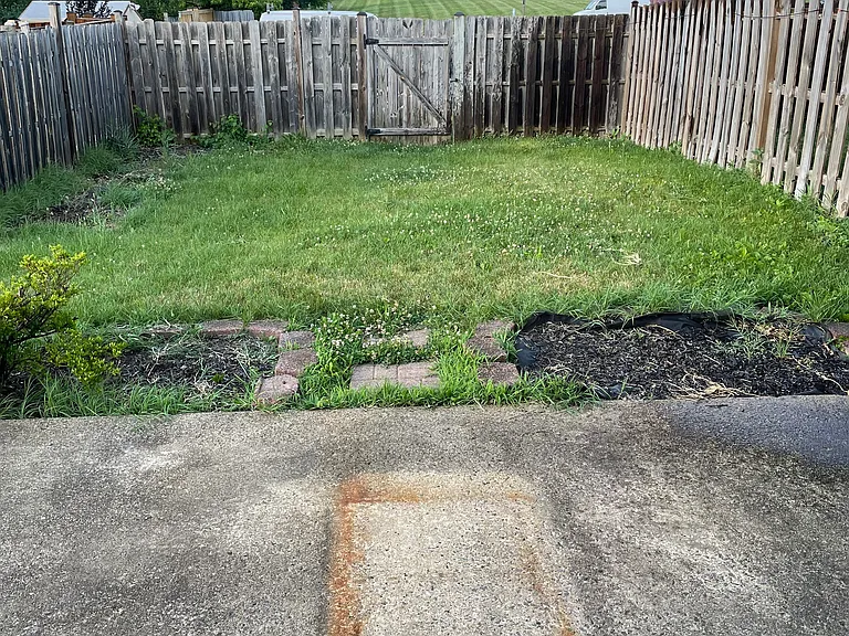 Fenced back yard. Looking better in-person