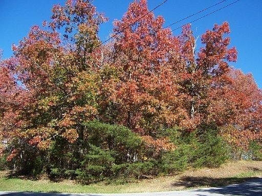 2nd image of 112 Liverpool Cir