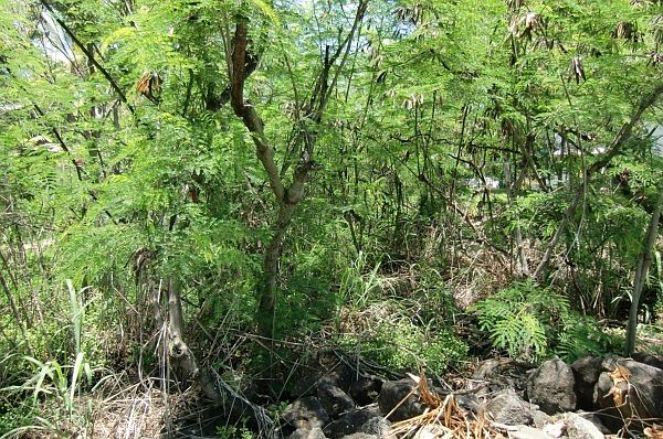 1st image of 76-6170 Mongoose Rd Lot 33