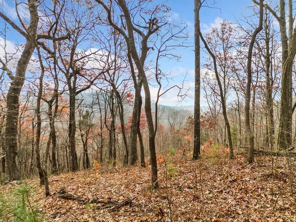 LOT 273 Andes Rdg, Ellijay, GA 30536