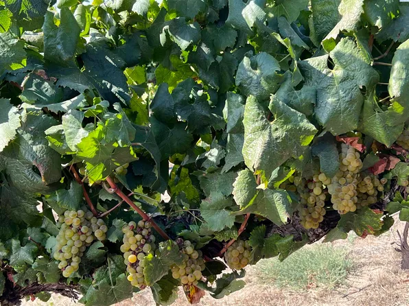 King Tull Rd, Prosser, WA 99350