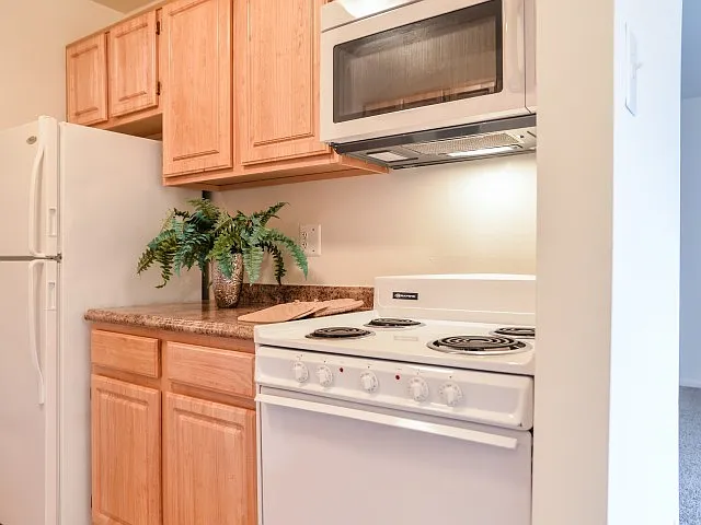 Maple kitchen-built in microwave
