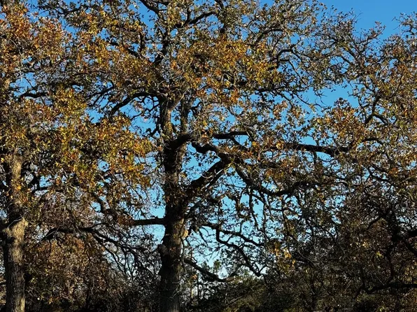 244 Buckskin Pass, Driftwood, TX 78619