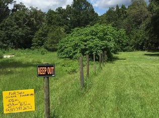 12703 Bud High Trl, Thonotosassa, FL 33592