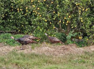 1185 N Ward Rd, Avon Park, FL 33825