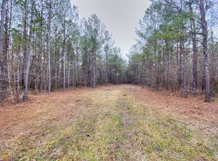 0 Youngs Mill Rd, Hogansville, GA 30230