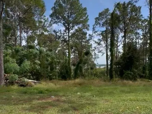 16139 Pendio Dr Lot 50, Montverde, FL 34756