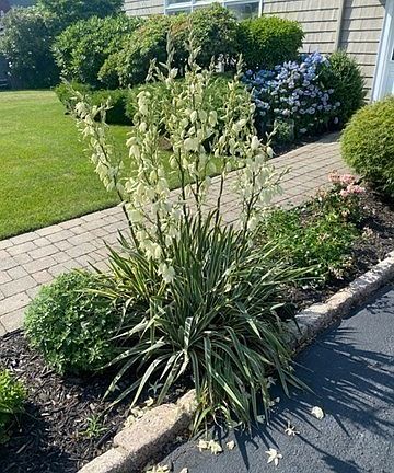 5th image of 8 Summit View Dr