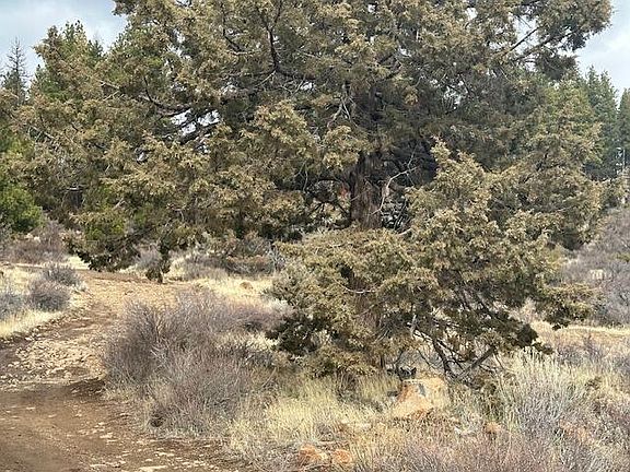 3rd image of 0 Cote Cyn Lot 17