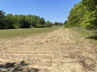 10 Peanut Rd, Graceville, FL 32440