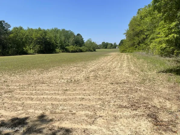 10 Peanut Rd, Graceville, FL 32440