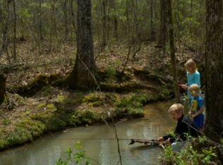 160 Redman Ln, Decatur, TN 37322