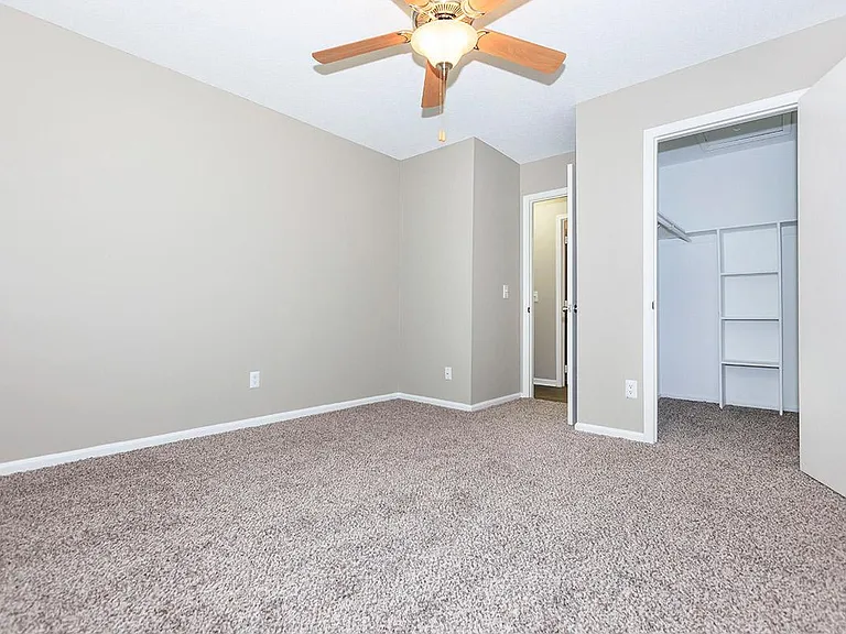 PLUSH CARPETS