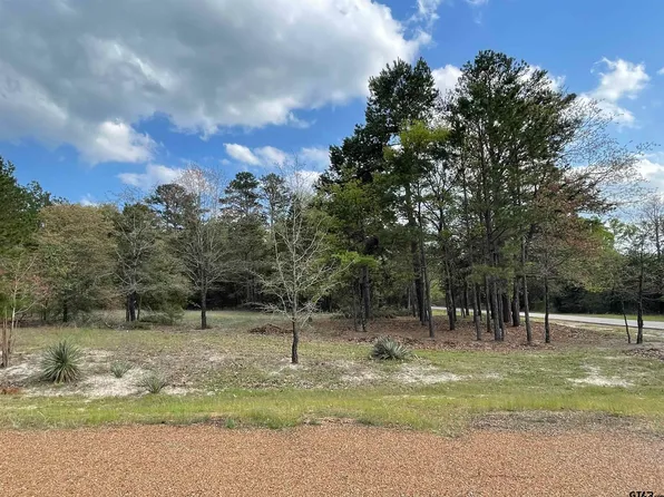 LOT 800 Angelina St, Scroggins, TX 75480