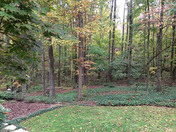 Wooded yard with creeek