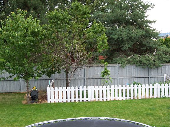 fenced back-yard, garden