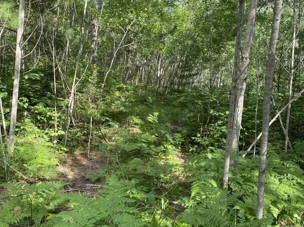 Lt73 MENOMINEE WOODS DRIVE, Wausaukee, WI 54177
