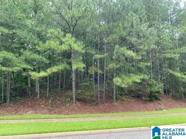 3000 Highland Village Trl Lot 3-93, Birmingham, AL 35242