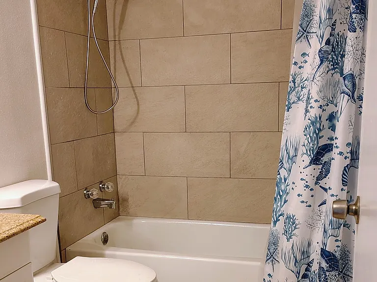 ... and new showerhead, new curtain!