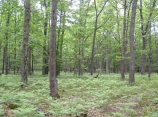 0 N Dexter Rd, Irons, MI 49644