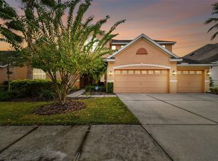 10507 Mistflower Ln, Tampa, FL 33647