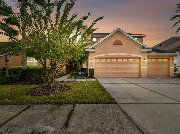 10507 Mistflower Ln, Tampa, FL 33647