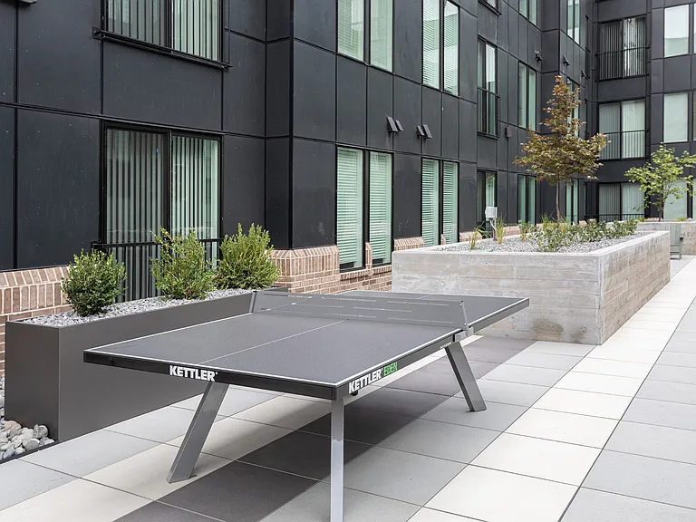 Ping Pong