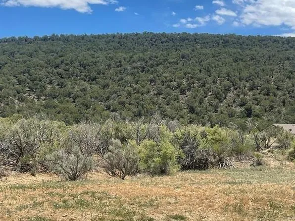 745 SE Pinyon Street, Cedaredge, CO 81413