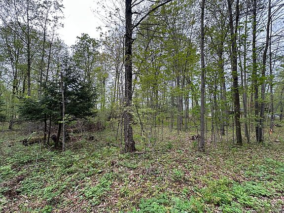 2nd image of LOT 61 Chip N Dale Dr