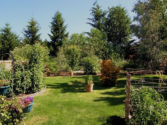 great backyard