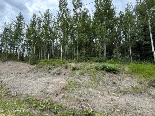 1060 N Hickory St, Palmer, AK 99645
