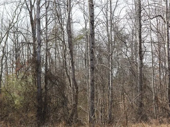 0 Jones Chapel Rd, Reidsville, NC 27320