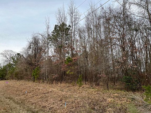 2nd image of 0 N Brice Horton Rd