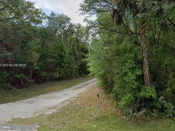 Lots 34 & 59 Northeast Ct #138, Fort Mc Coy, FL 32134
