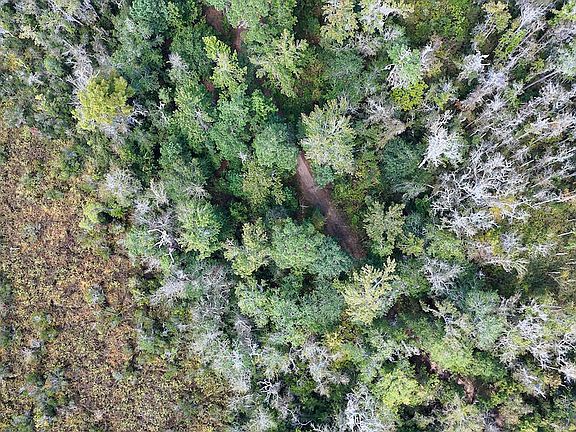 60th image of this home