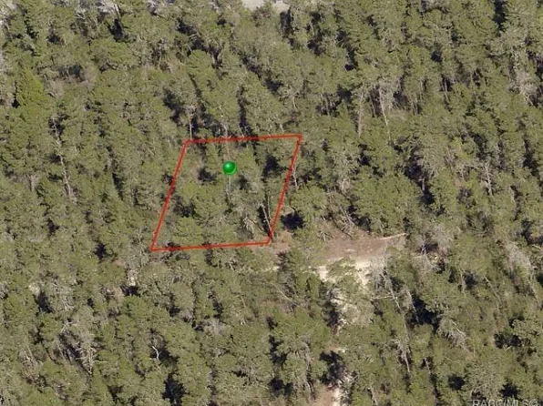 3004 Collins St, Inverness, FL 34452