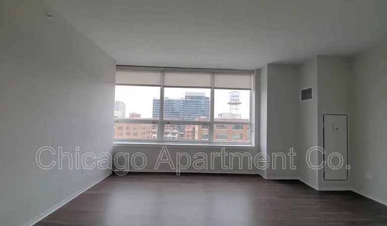 801 W Adams St #810 — Photo 8