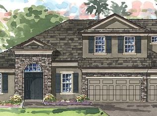 806 Vittorio Pl, Brandon, FL 33511