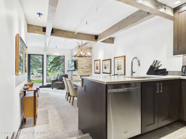 610 S West End St #E103, Aspen, CO 81611