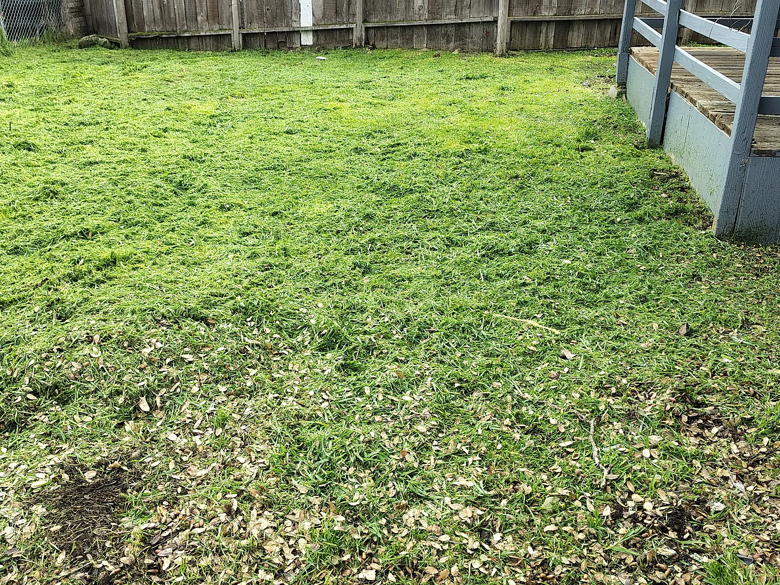 1 bed, 600 sqft, $950 — Photo 3