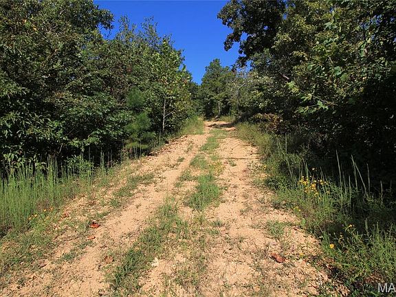 29th image of 0 Coldwater Crk #Creek_lot-2