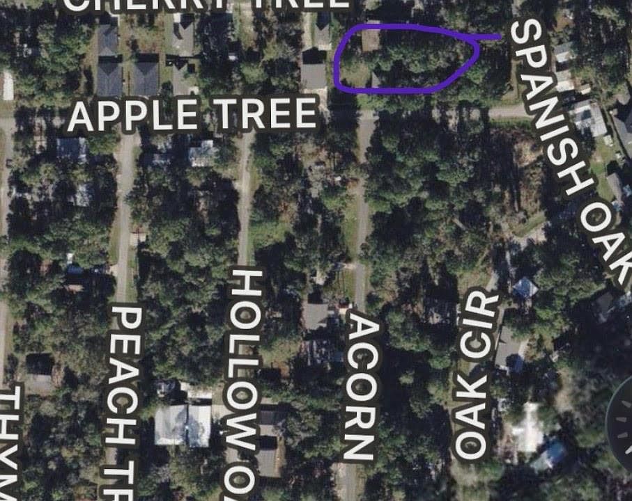 2nd image of 0 Apple Tree