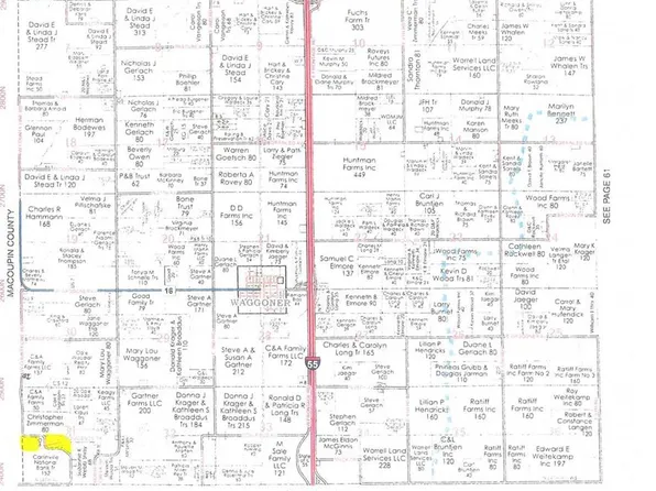 136 Providence Trl, Waggoner, IL 62572