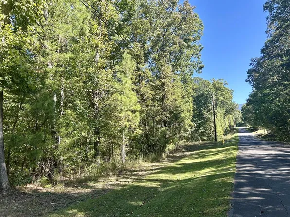 0 Dogwood Ln, Chatsworth, GA 30705