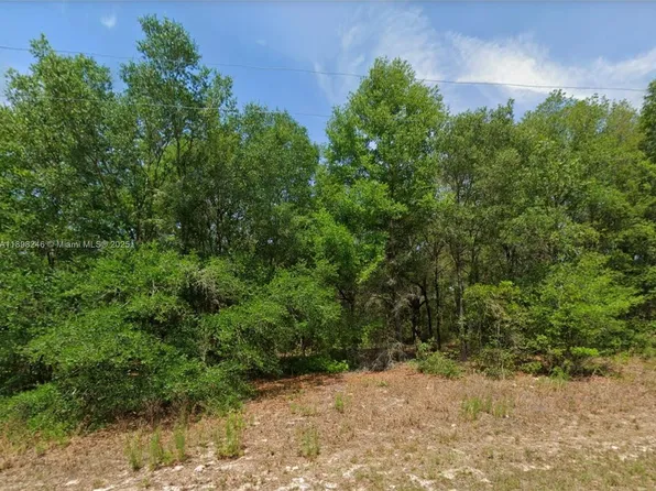 11451 N Clare Ter, Citrus Springs, FL 34434