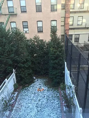 Rented by Highline Residential | media 37