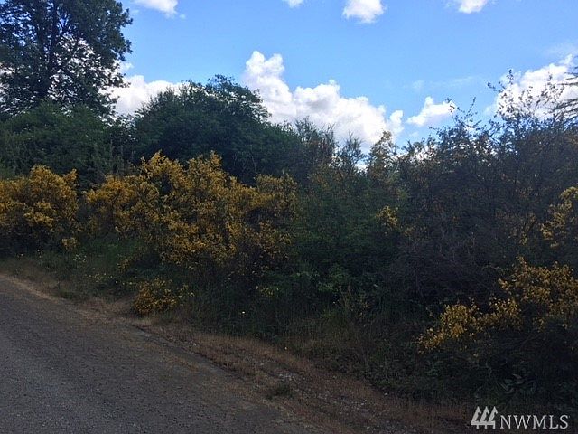 2nd image of 0 E Meyer Lake Dr