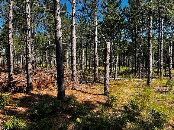 3rd image of 51/ACRE S Topinabee Mail Route S Extension Rd
