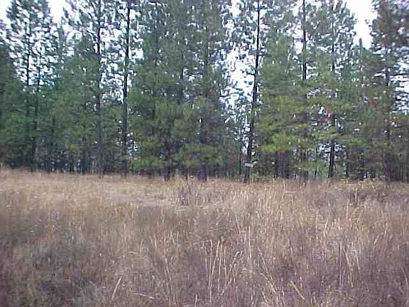 5th image of 0 Cummings Canyon Way